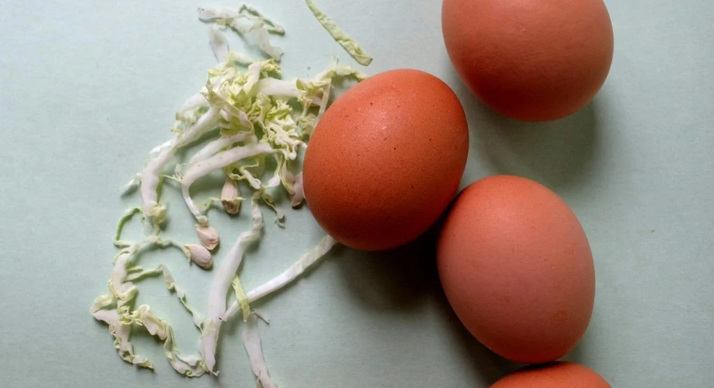 convenience foods for quick meals