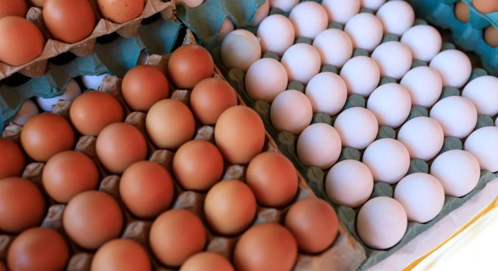 One easy breakfast like eggs can be protected early in the grocery trip to make mornings easier all week